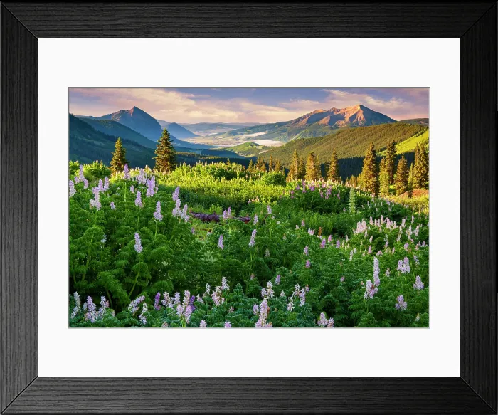 Framed Print : Gothic Valley with fog at sunrise, Crested Butte, Colorado, USA Framed Print : Gothic Valley with fog at sunrise, Crested Butte, Colorado, USA