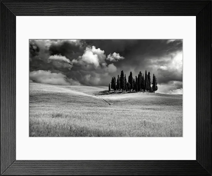 Framed Print : The famous Clump of cypress trees ion stormy weather, Val d'Orcia, near San Quirico d'Orcia, Tuscany, Italy Framed Print : The famous Clump of cypress trees ion stormy weather, Val d'Orcia, near San Quirico d'Orcia, Tuscany, Italy