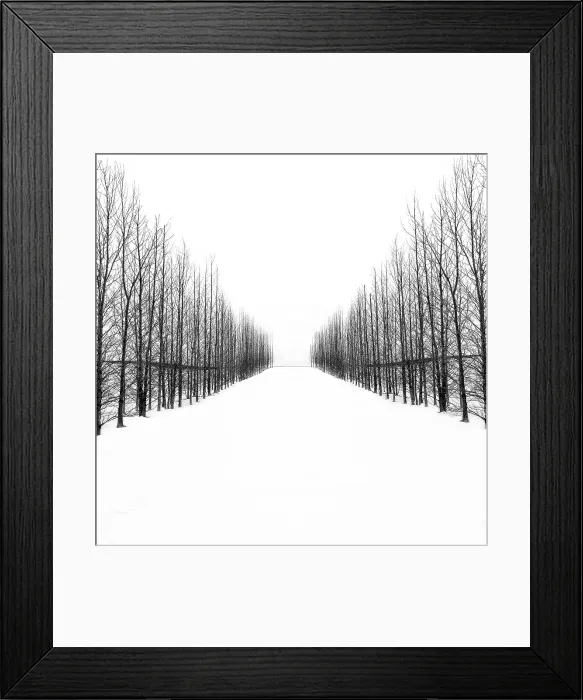Framed Print : Trees in a snowy winter landscape, Haukadalur, Valley, Iceland Framed Print : Trees in a snowy winter landscape, Haukadalur, Valley, Iceland