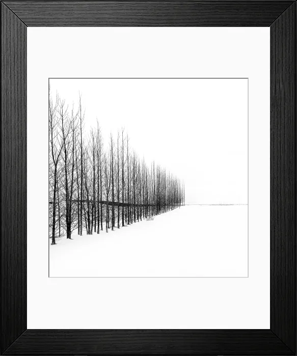 Framed Print : Trees in a snowy winter landscape, Haukadalur, Valley, Iceland
