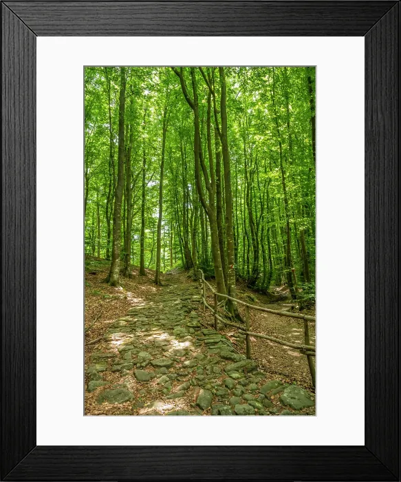 Framed Print : europe, Italy, Emilia-Romagna, the ancient roman road Via Flaminia that meets the Via degli Dei in the forests Framed Print : europe, Italy, Emilia-Romagna, the ancient roman road Via Flaminia that meets the Via degli Dei in the forests