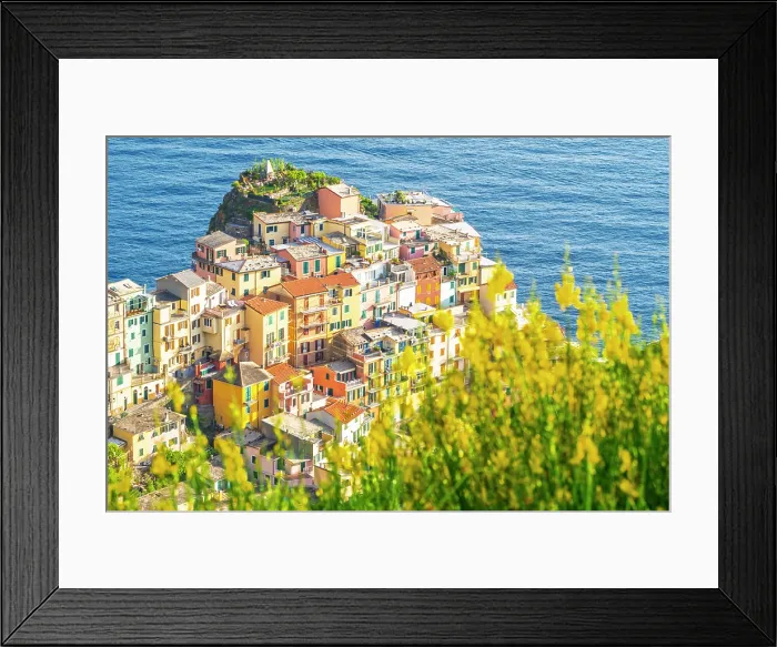 Framed Print : europe, Italy, Liguria. Cinque Terre. View of Manarola in springtime with flowering broom