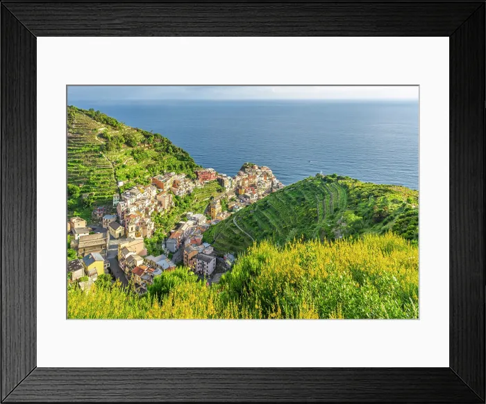 Framed Print : europe, Italy, Liguria. Cinque Terre. View of Manarola in springtime with flowering broom