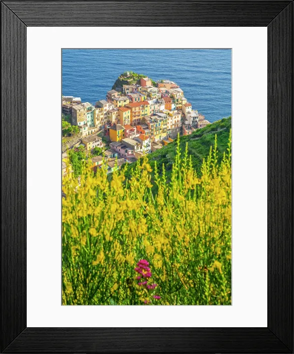 Framed Print : europe, Italy, Liguria. Cinque Terre. View of Manarola in springtime with flowering broom Framed Print : europe, Italy, Liguria. Cinque Terre. View of Manarola in springtime with flowering broom