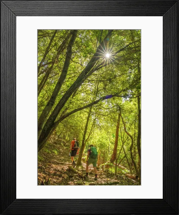 Framed Print : europe, Italy, Liguria. Cinque Terre. Two people hiking on a footpath in the Nationalpark of the Cinque Terre near Riomaggiore Framed Print : europe, Italy, Liguria. Cinque Terre. Two people hiking on a footpath in the Nationalpark of the Cinque Terre near Riomaggiore