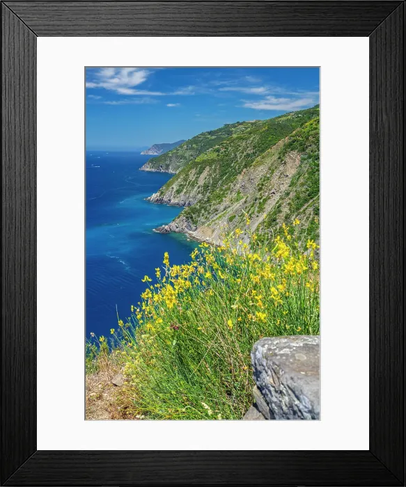 Framed Print : europe, Italy, Liguria. Cinque Terre. The view from the ancient stairway of Monesteroli towards the Cinque Terre coast with its terraced vineyards in springtime Framed Print : europe, Italy, Liguria. Cinque Terre. The view from the ancient stairway of Monesteroli towards the Cinque Terre coast with its terraced vineyards in springtime