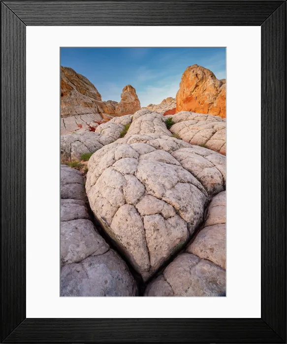 Framed Print : Turtle-shaped rock at White Pocket, Vermilion Cliffs National Monument, Arizona, USA Framed Print : Turtle-shaped rock at White Pocket, Vermilion Cliffs National Monument, Arizona, USA