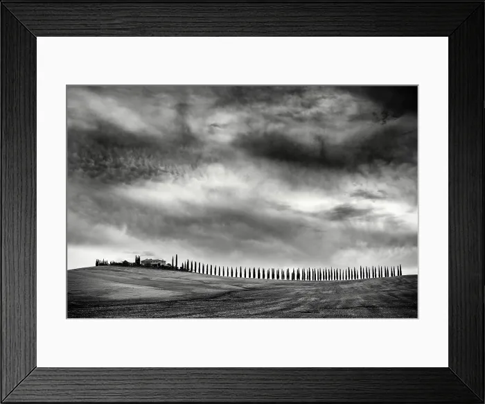 Framed Print : Avenue of cypress trees, Poggio Covili, Val d'Orcia, near San Quirico d'Orcia, Tuscany, Italy Framed Print : Avenue of cypress trees, Poggio Covili, Val d'Orcia, near San Quirico d'Orcia, Tuscany, Italy