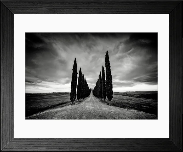 Framed Print : Avenue of cypress trees, Poggio Covili, Val d'Orcia, near San Quirico d'Orcia, Tuscany, Italy Framed Print : Avenue of cypress trees, Poggio Covili, Val d'Orcia, near San Quirico d'Orcia, Tuscany, Italy