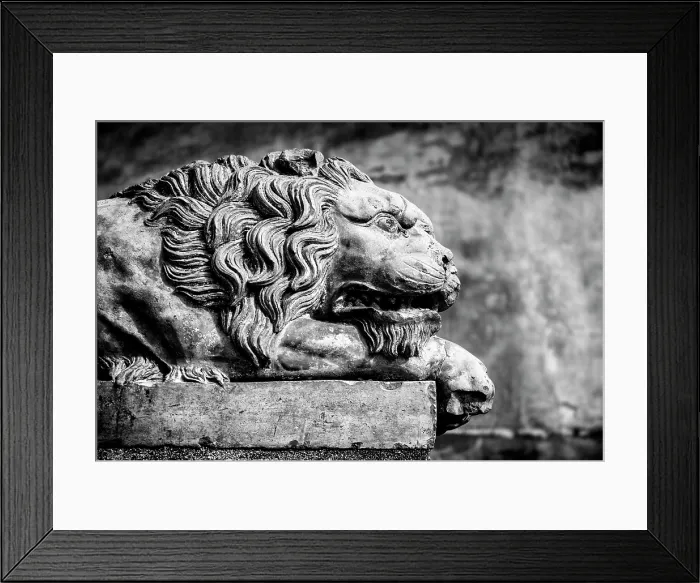 Framed Print : Old terracotta lion statue, Lucignano d'Asso, Province of Siena, Tuscany, Italy Framed Print : Old terracotta lion statue, Lucignano d'Asso, Province of Siena, Tuscany, Italy