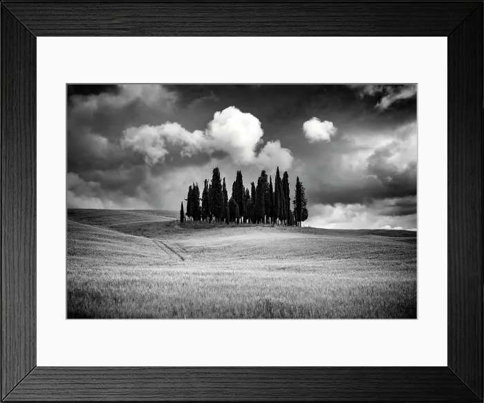 Framed Print : The famous Clump of cypress trees in stormy weather, Val d'Orcia, near San Quirico d'Orcia, Tuscany, Italy Framed Print : The famous Clump of cypress trees in stormy weather, Val d'Orcia, near San Quirico d'Orcia, Tuscany, Italy