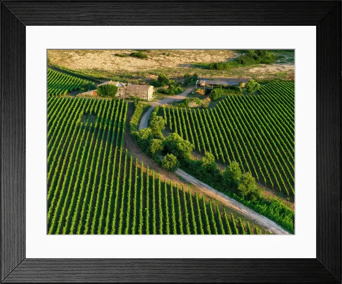 Framed Print : Aerial View over Farmhouse & Vineyards, near Pitigliano, Tuscany, Italy, Europe Framed Print : Aerial View over Farmhouse & Vineyards, near Pitigliano, Tuscany, Italy, Europe