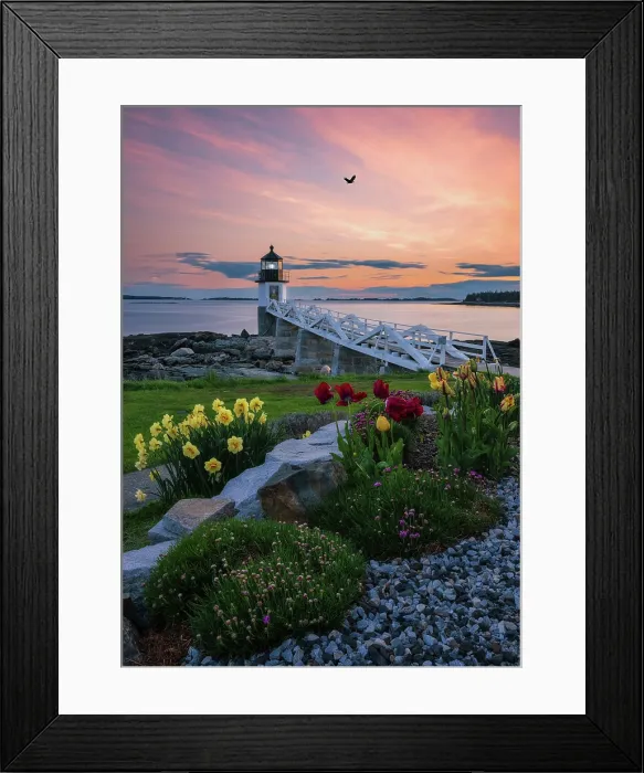 Framed Print : Spring flowers at Marshall Point Lighthouse, Port Clyde, Maine, USA Framed Print : Spring flowers at Marshall Point Lighthouse, Port Clyde, Maine, USA