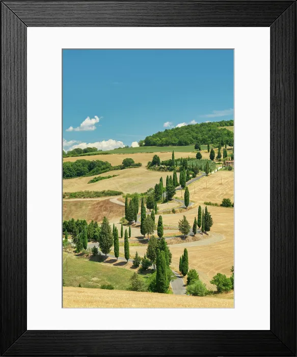 Framed Print : Cypresses Road, Monticchiello, Tuscany, Italy, Europe Framed Print : Cypresses Road, Monticchiello, Tuscany, Italy, Europe