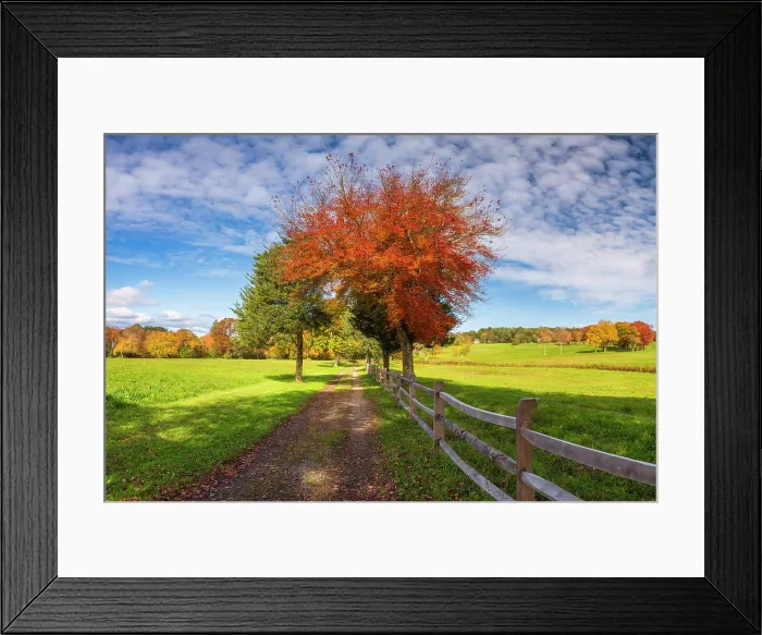 Framed Print : Fence and road in autumn, Plymouth, Massachusetts, USA Framed Print : Fence and road in autumn, Plymouth, Massachusetts, USA