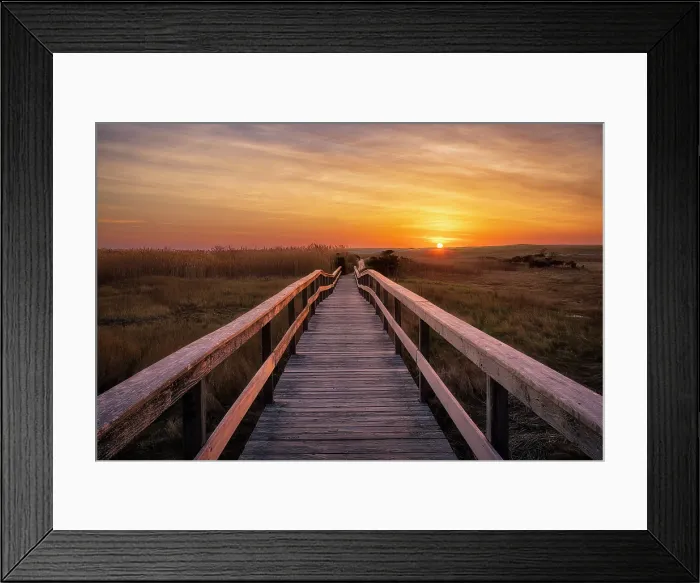 Framed Print : Colorful rowboats at rest, Cape Cod, Chatham, Massachusetts, USA Framed Print : Colorful rowboats at rest, Cape Cod, Chatham, Massachusetts, USA