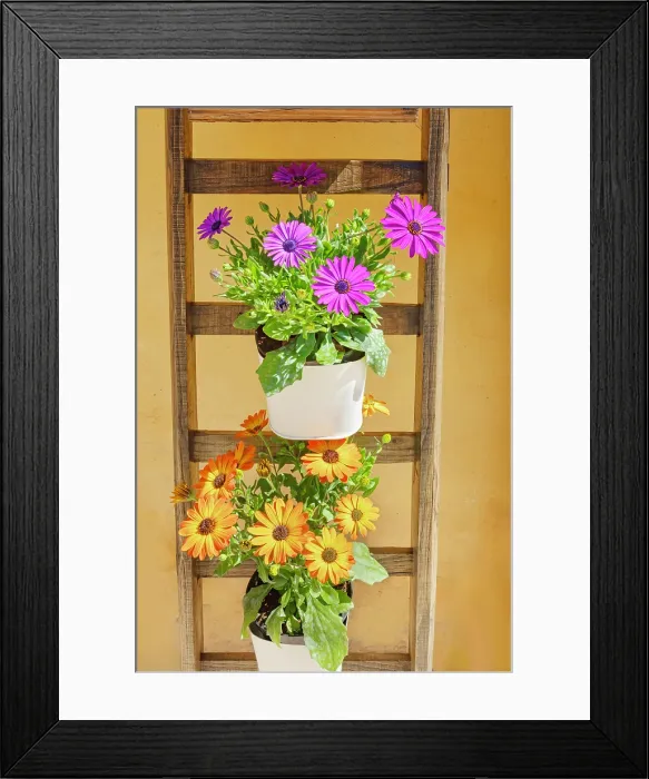 Framed Print : Flowers pots, Ragusa Ibla, Ragusa province, Sicily, Italy Framed Print : Flowers pots, Ragusa Ibla, Ragusa province, Sicily, Italy