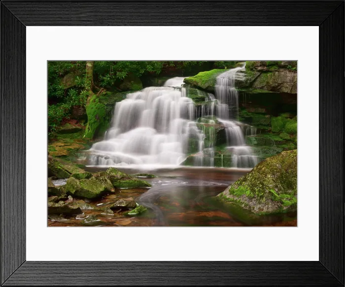 Framed Print : Moss at Elakala Falls in Blackwater Falls State Park, West Virginia, USA