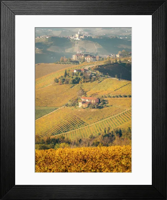 Framed Print : Autumn vineyard landscape Serralunga d'Alba Piedmont, Italy Framed Print : Autumn vineyard landscape Serralunga d'Alba Piedmont, Italy