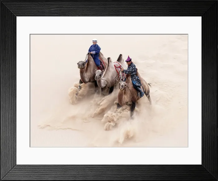 Framed Print : Two camel herders riding their camels down a sand dune, Khongor Dunes, Gobi Desert, Mongolia, Asia