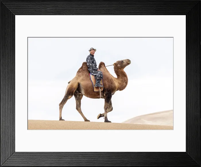 Framed Print : Camel herder on his camel, Khongor Dunes, Gobi Desert, Mongolia, Asia Framed Print : Camel herder on his camel, Khongor Dunes, Gobi Desert, Mongolia, Asia