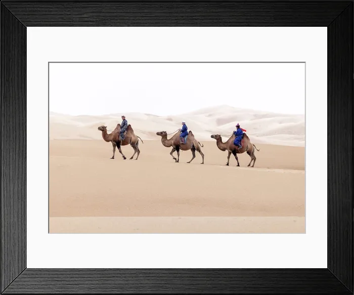 Framed Print : Three camel herders riding their camels in the Khongor Dunes, Gobi Desert, Mongolia, Asia Framed Print : Three camel herders riding their camels in the Khongor Dunes, Gobi Desert, Mongolia, Asia