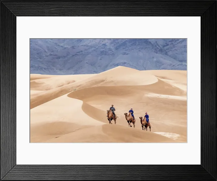 Framed Print : Three camel herders riding their camels in the Khongor Dunes, Gobi Desert, Mongolia, Asia Framed Print : Three camel herders riding their camels in the Khongor Dunes, Gobi Desert, Mongolia, Asia