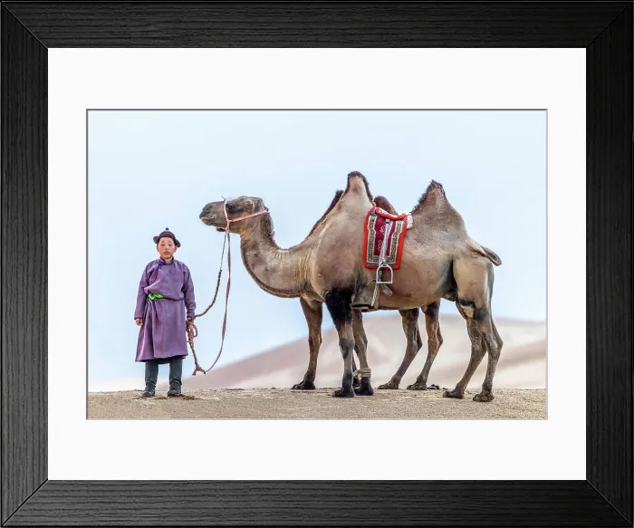 Framed Print : Young camel herder and his camel, Khongor Dunes, Gobi Desert, Mongolia, Asia Framed Print : Young camel herder and his camel, Khongor Dunes, Gobi Desert, Mongolia, Asia