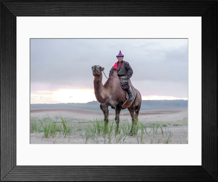 Framed Print : Camel herder on his camel, Khongor Dunes, Gobi Desert, Mongolia, Asia Framed Print : Camel herder on his camel, Khongor Dunes, Gobi Desert, Mongolia, Asia
