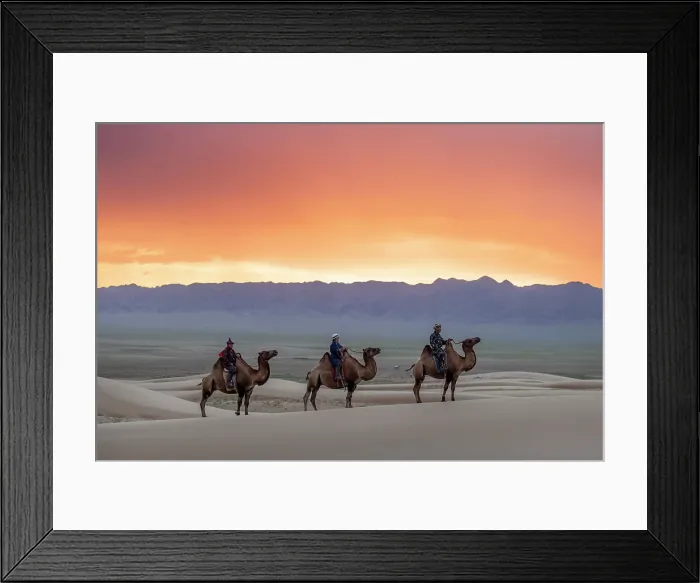 Framed Print : Three camel herders riding their camels in the Khongor Dunes at sunrise, Gobi Desert, Mongolia, Asia