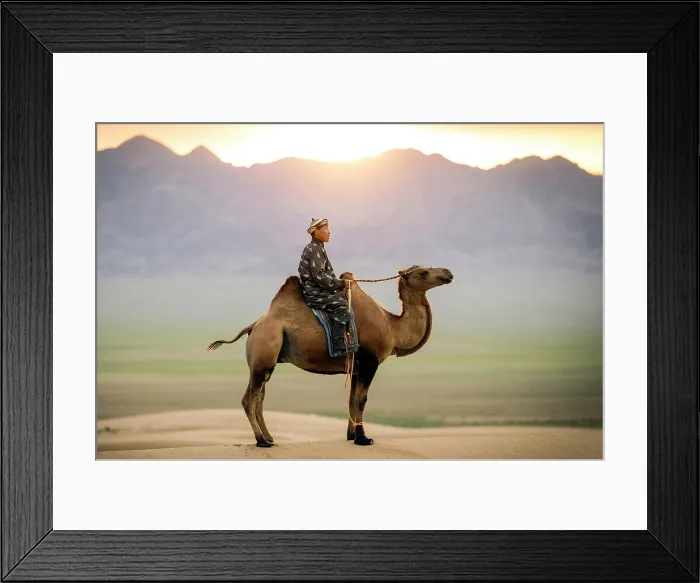 Framed Print : Camel herder on his camel, Khongor Dunes, Gobi Desert, Mongolia, Asia Framed Print : Camel herder on his camel, Khongor Dunes, Gobi Desert, Mongolia, Asia