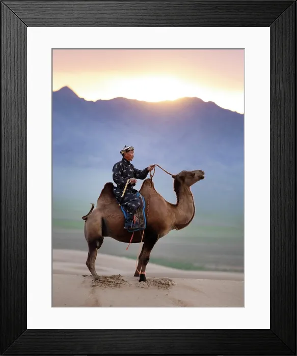 Framed Print : Camel herder on his camel, Khongor Dunes, Gobi Desert, Mongolia, Asia Framed Print : Camel herder on his camel, Khongor Dunes, Gobi Desert, Mongolia, Asia