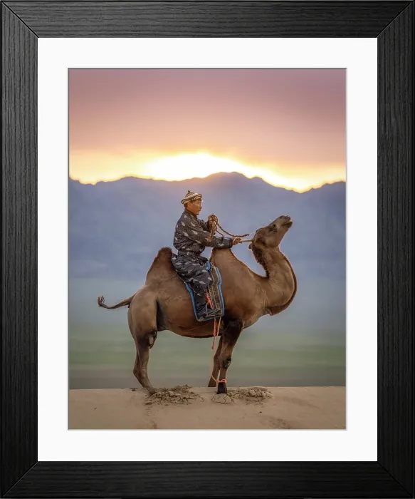 Framed Print : Camel herder on his camel at sunrise, Khongor Dunes, Gobi Desert, Mongolia, Asia Framed Print : Camel herder on his camel at sunrise, Khongor Dunes, Gobi Desert, Mongolia, Asia