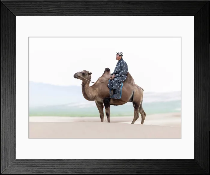 Framed Print : Camel herder on his camel, Khongor Dunes, Gobi Desert, Mongolia, Asia Framed Print : Camel herder on his camel, Khongor Dunes, Gobi Desert, Mongolia, Asia