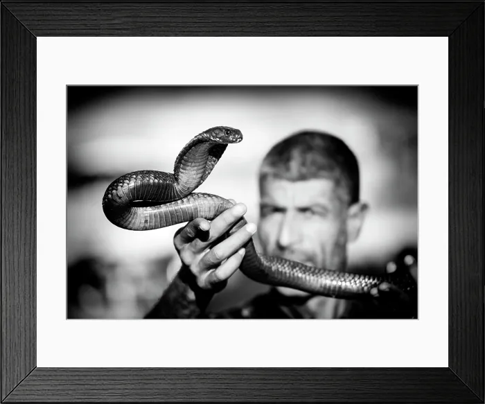 Framed Print : Snake charmer holding his cobra, Djemma el Fna, Marrakech, Morocco Framed Print : Snake charmer holding his cobra, Djemma el Fna, Marrakech, Morocco
