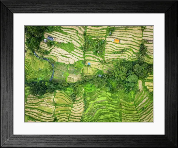 Framed Print : Jatiluwih Rice Terraces, Bali, Indonesia Framed Print : Jatiluwih Rice Terraces, Bali, Indonesia