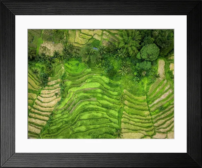 Framed Print : Jatiluwih Rice Terraces, Bali, Indonesia Framed Print : Jatiluwih Rice Terraces, Bali, Indonesia