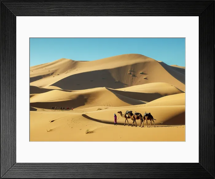 Framed Print : Berber man leading his camels through the Sahara Desert, Erg Chebbi, Merzouga, Morocco Framed Print : Berber man leading his camels through the Sahara Desert, Erg Chebbi, Merzouga, Morocco