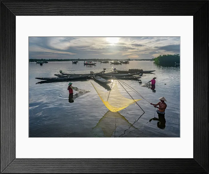 Framed Print : Fishermen collecting fish with traditional nets, Hue, Thua Thien-Hue province, Central Vietnam. (MR) Framed Print : Fishermen collecting fish with traditional nets, Hue, Thua Thien-Hue province, Central Vietnam. (MR)