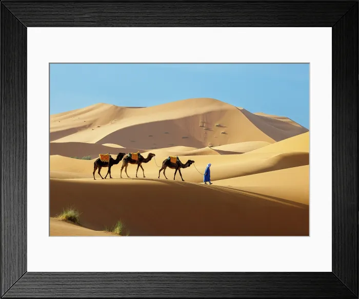 Framed Print : Berber man leading his camels through the Sahara Desert, Erg Chebbi, Merzouga, Morocco Framed Print : Berber man leading his camels through the Sahara Desert, Erg Chebbi, Merzouga, Morocco