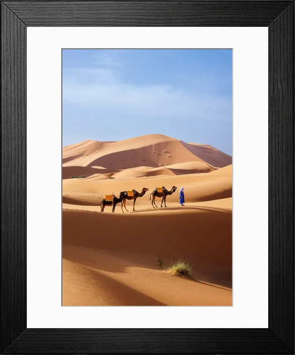Framed Print : Berber man leading his camels through the Sahara Desert, Erg Chebbi, Merzouga, Morocco Framed Print : Berber man leading his camels through the Sahara Desert, Erg Chebbi, Merzouga, Morocco