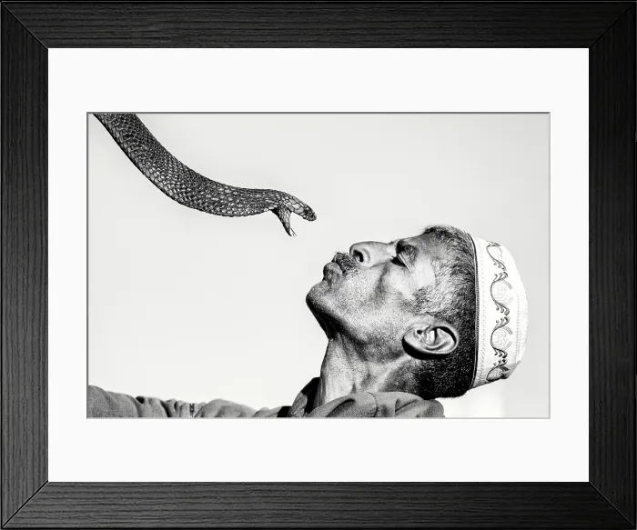 Framed Print : Snake charmer and his snake, Djemma el Fna, Marrakech, Morocco