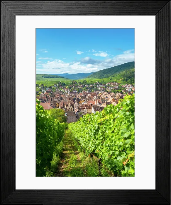 Framed Print : Riquewihr, Alsace wine region, France Framed Print : Riquewihr, Alsace wine region, France
