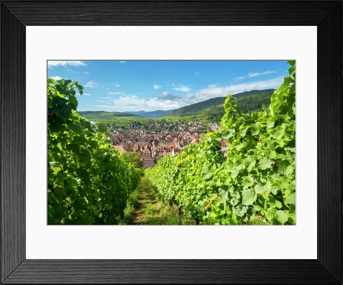 Framed Print : Riquewihr, Alsace wine region, France Framed Print : Riquewihr, Alsace wine region, France