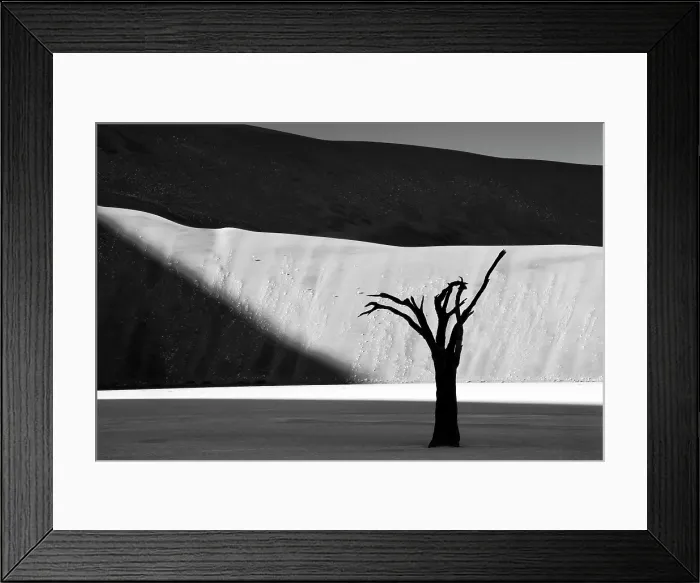 Framed Print : Dead camel thorn tree on a dried-up white mud pan with towering sand dunes in the distance, Dead Vlei, Namib-Naukluft National Park, Namib Desert, Namibia, Africa Framed Print : Dead camel thorn tree on a dried-up white mud pan with towering sand dunes in the distance, Dead Vlei, Namib-Naukluft National Park, Namib Desert, Namibia, Africa