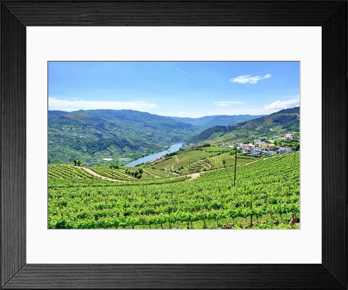 Framed Print : The Douro river valley with a tourism boat and the terraced vineyards. A Unesco World Heritage Site. Mes£o Frio, Portugal Framed Print : The Douro river valley with a tourism boat and the terraced vineyards. A Unesco World Heritage Site. Mes£o Frio, Portugal
