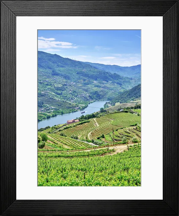 Framed Print : The Douro river valley with a tourism boat and the terraced vineyards. A Unesco World Heritage Site. Mes£o Frio, Portugal Framed Print : The Douro river valley with a tourism boat and the terraced vineyards. A Unesco World Heritage Site. Mes£o Frio, Portugal