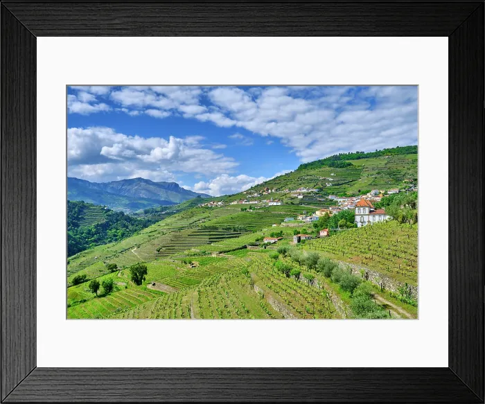 Framed Print : Oliveira, Mes£o Frio, with the terraced vineyards and the Mar£o mountain range on the background. A Unesco World Heritage Site. Douro region, Portugal Framed Print : Oliveira, Mes£o Frio, with the terraced vineyards and the Mar£o mountain range on the background. A Unesco World Heritage Site. Douro region, Portugal