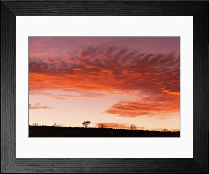 Framed Print : Sunset, , Zimanga Private Game Reserve, KwaZulu Natal, South Africa Framed Print : Sunset, , Zimanga Private Game Reserve, KwaZulu Natal, South Africa