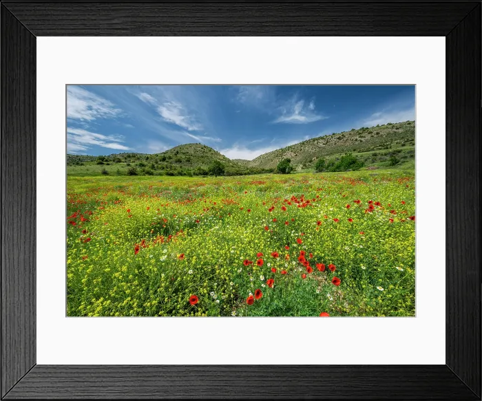 Framed Print : Scenic blooming spring landscape, Albarracin, Aragon, Spain Framed Print : Scenic blooming spring landscape, Albarracin, Aragon, Spain